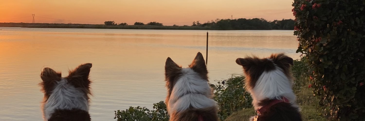 juligr1's profile banner image
