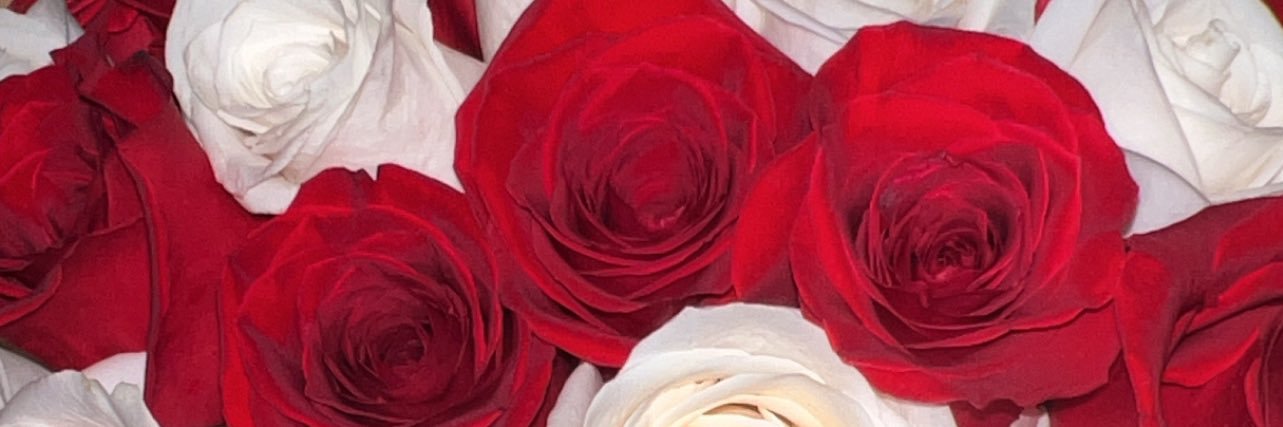 _okmimi's profile banner image