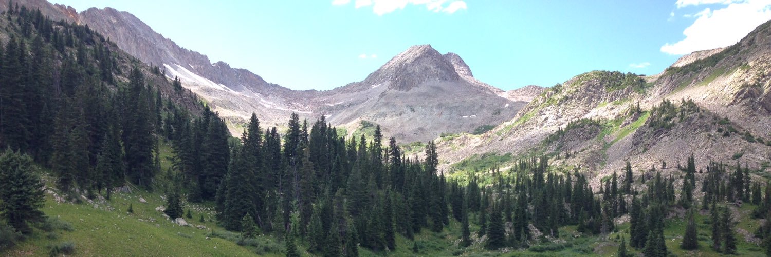 Suzie Williams banner