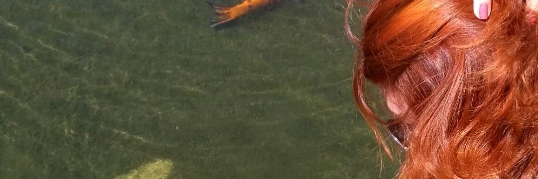 LunaAlone's profile banner image