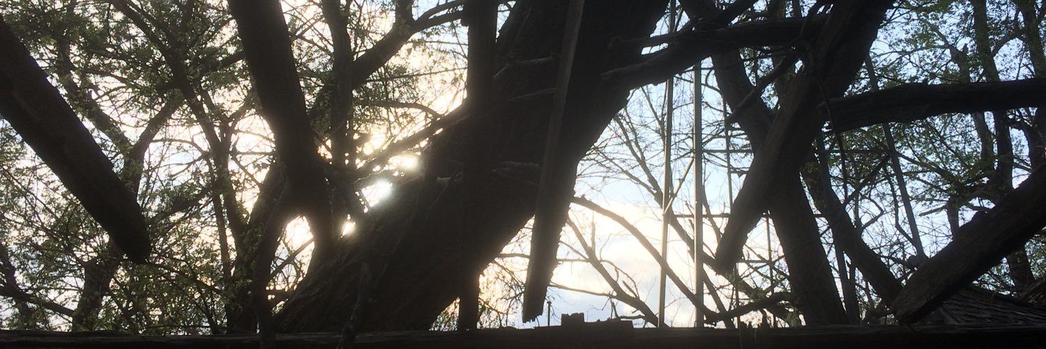 bordier23's profile banner image