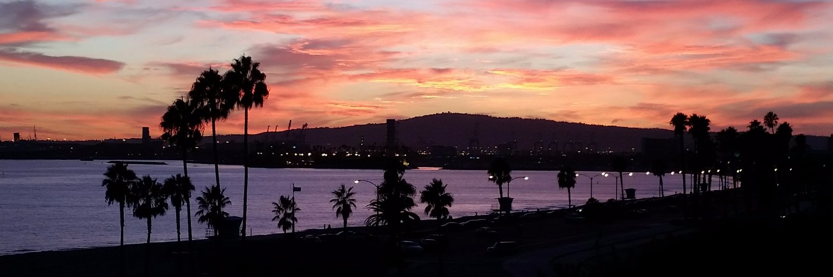 Loco4LongBeach's profile banner image