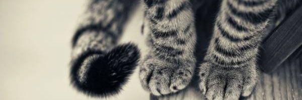 moe_910's profile banner image