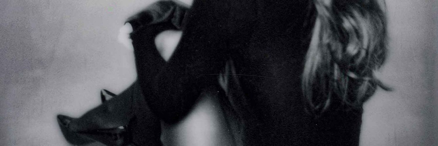 🍉 banner