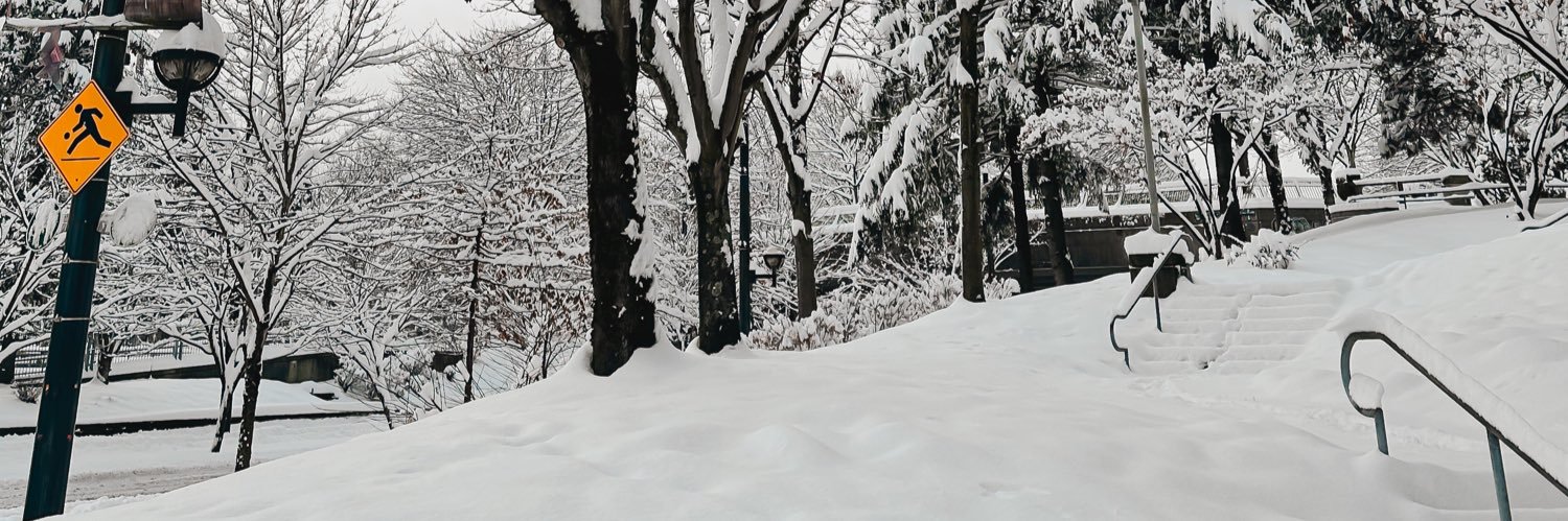 stephcomonfort's profile banner image