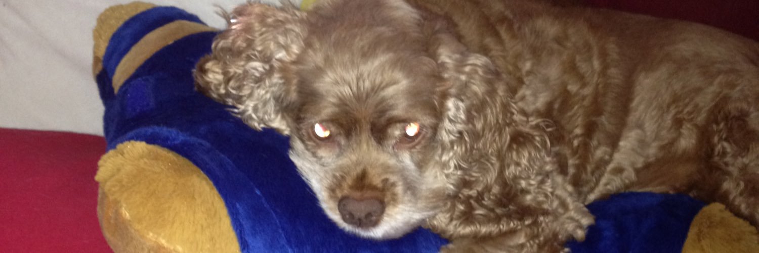 Sarah Deep in Despair Jellen banner