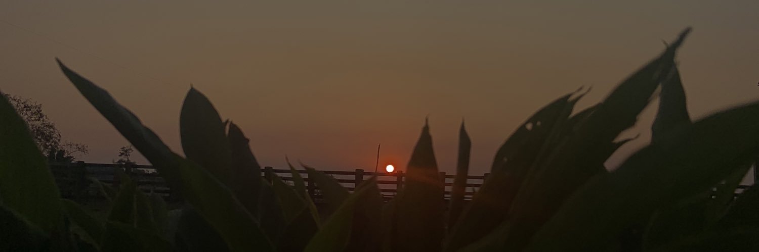 consuelabnna's profile banner image