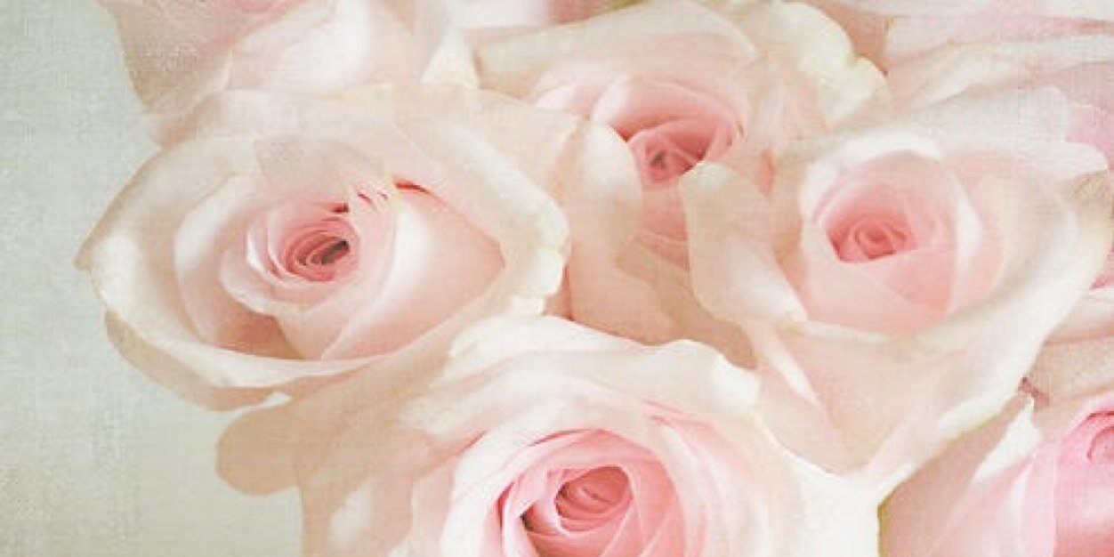 Afaneen77's profile banner image