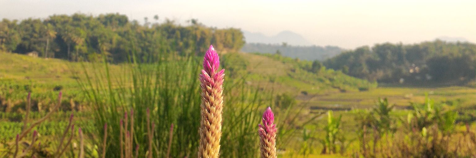 putrikystri's profile banner image