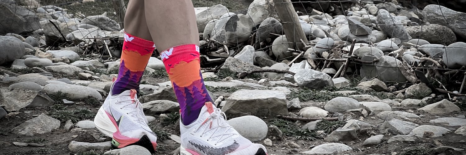 BRAV Endurance banner