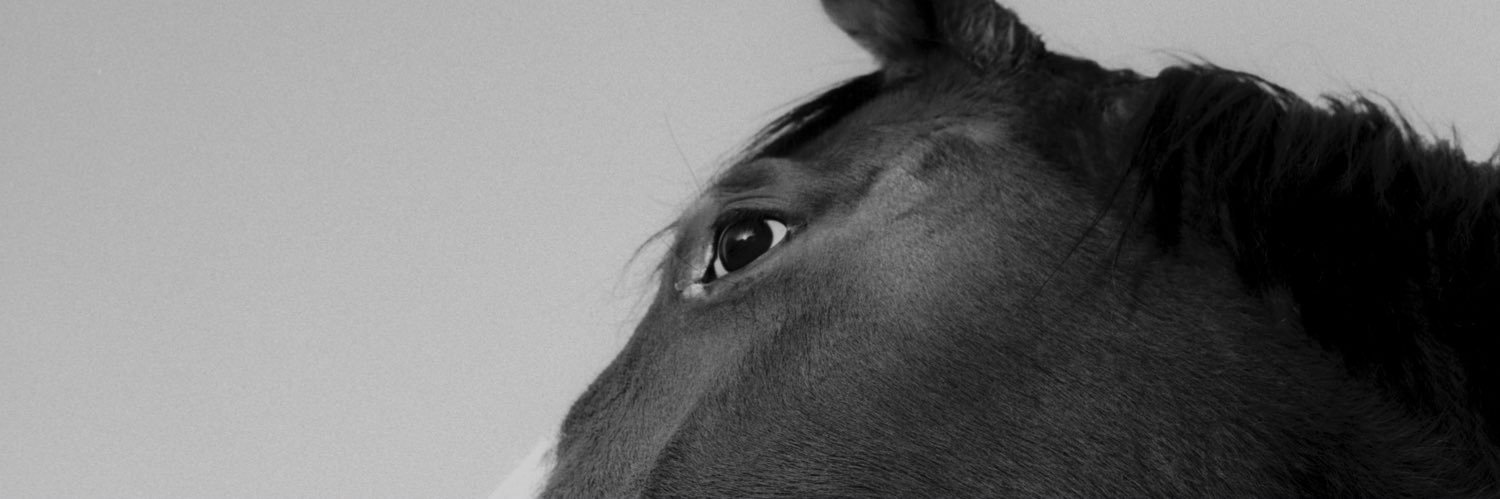 nate banner