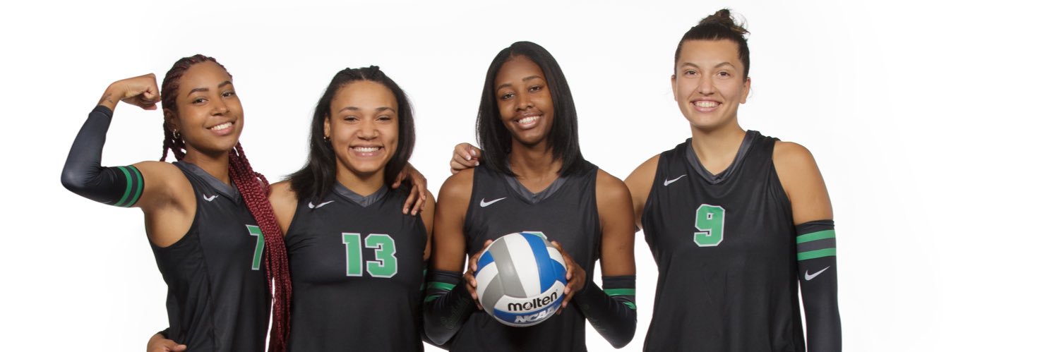 Chicago State Volleyball banner