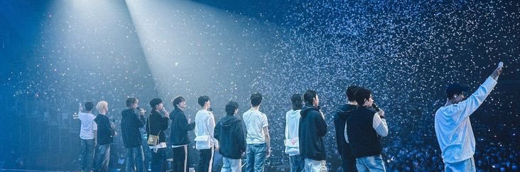 wonyucat banner