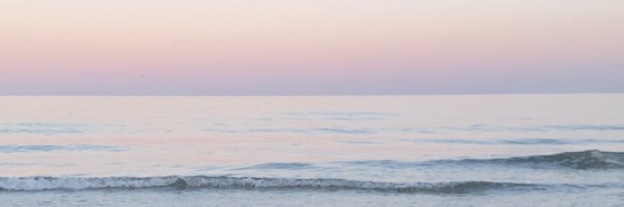 lexi_sturmi's profile banner image