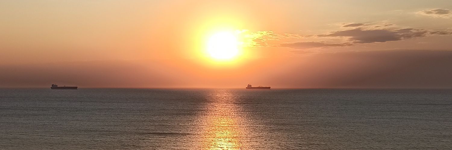 _vildandemir's profile banner image