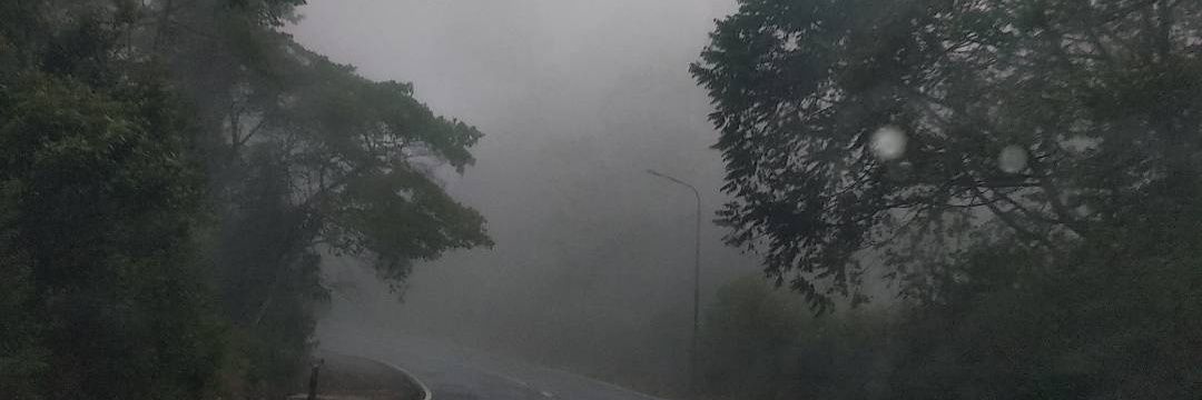 didaaaf's profile banner image