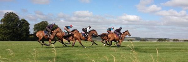 AstuteBldstock Profile Banner