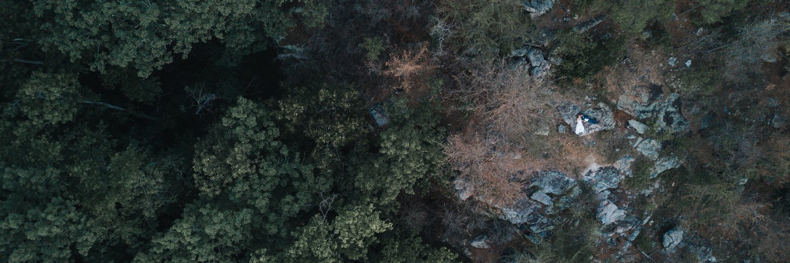 Evanlanier's profile banner image