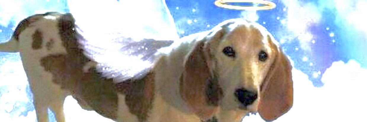 bruddr's profile banner image