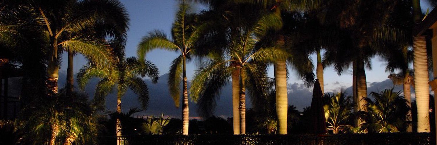 Bliil3's profile banner image