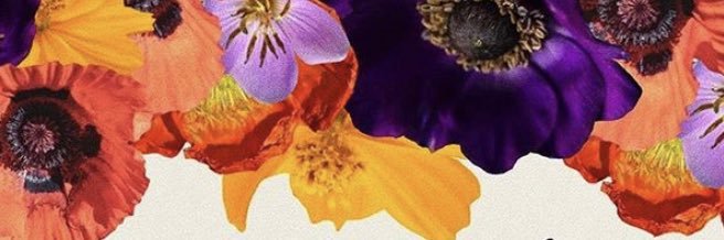 C_franchise's profile banner image