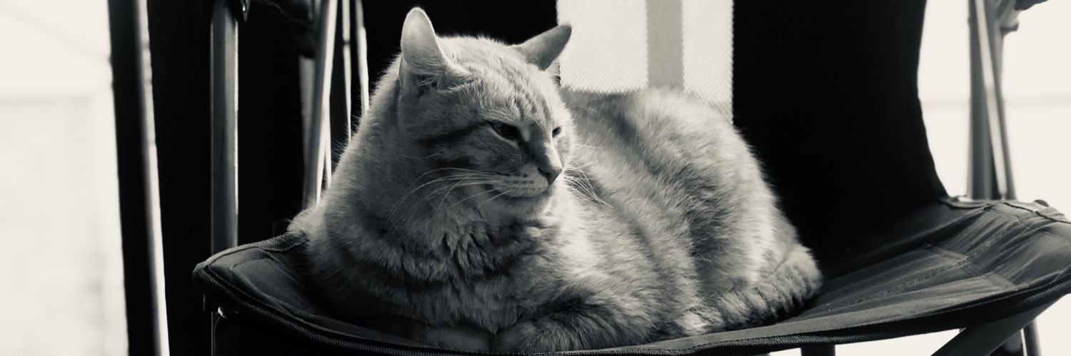 PicklesWolf's profile banner image