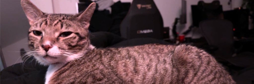 big (maybe the biggest) R banner