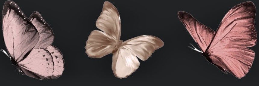 pdzakisd's profile banner image