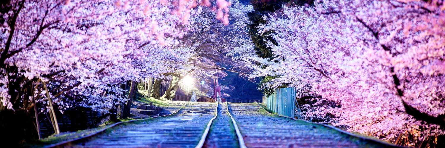 Розовые воробьиные очки banner