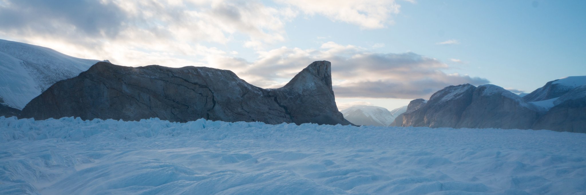 Denis Felikson banner