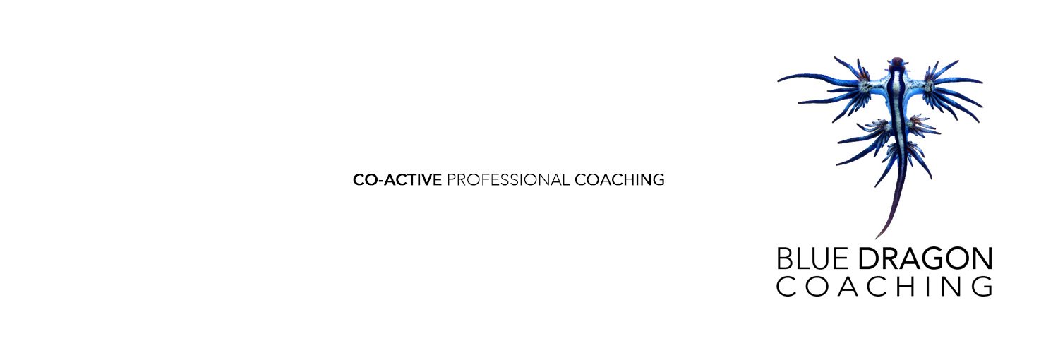 Blue Dragon Coaching banner