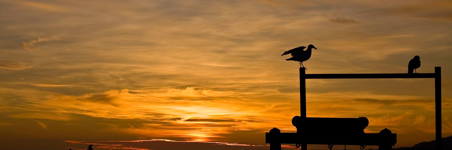 attshen831's profile banner image