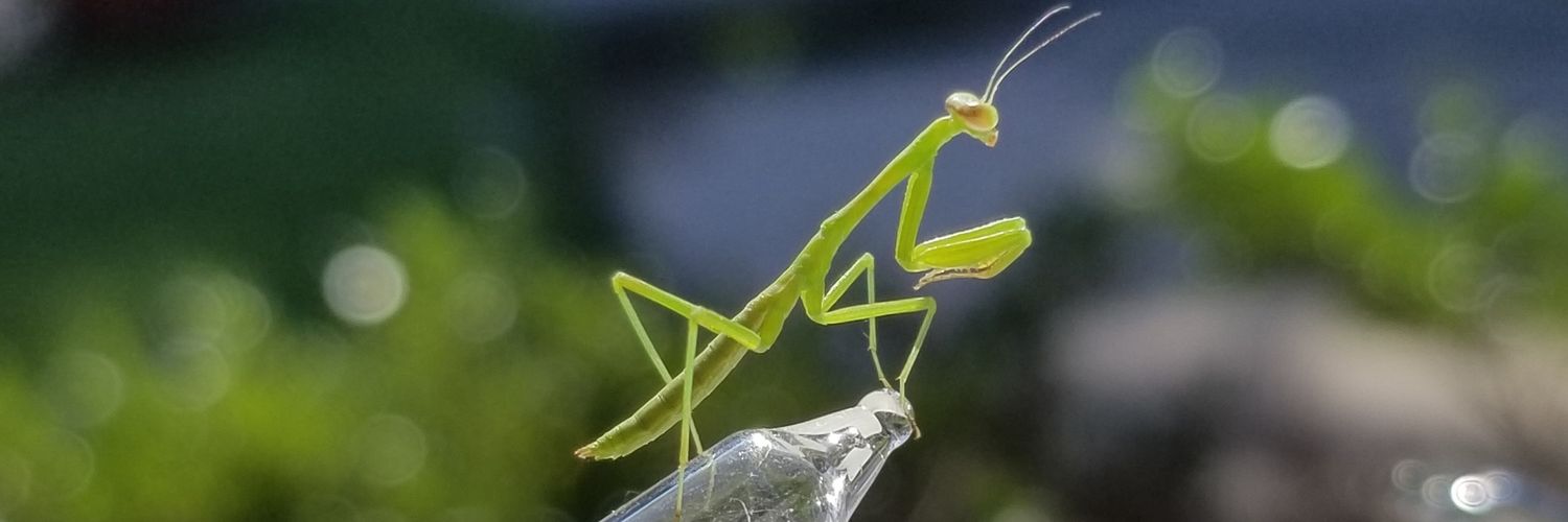 sea_quark's profile banner image