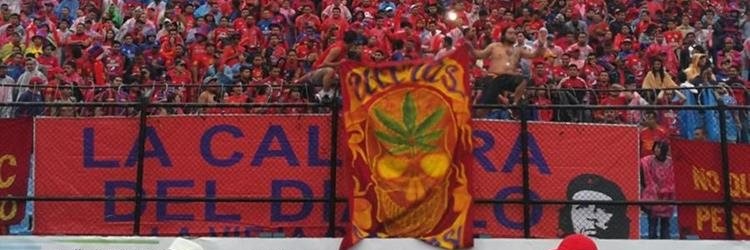 auree_74's profile banner image
