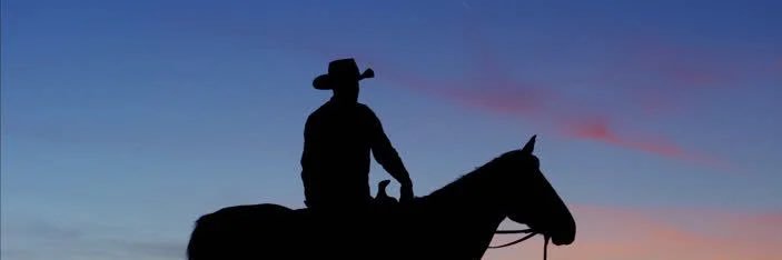 JoshuaTheCowboy's profile banner image