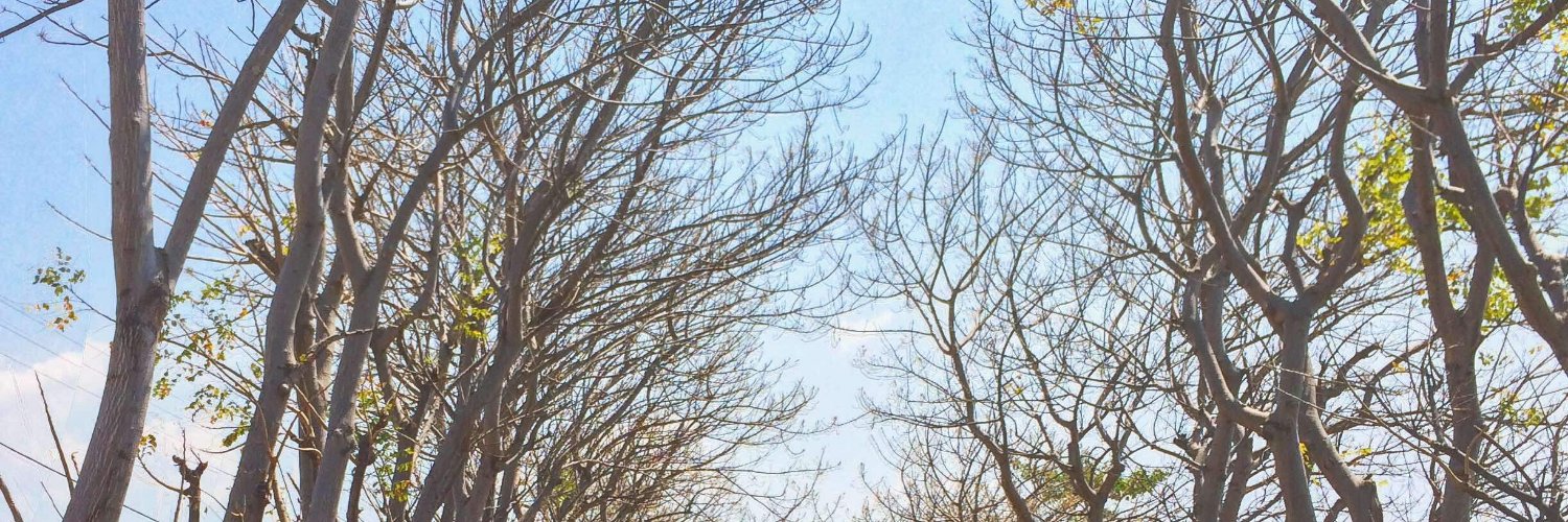 dydwipra_'s profile banner image