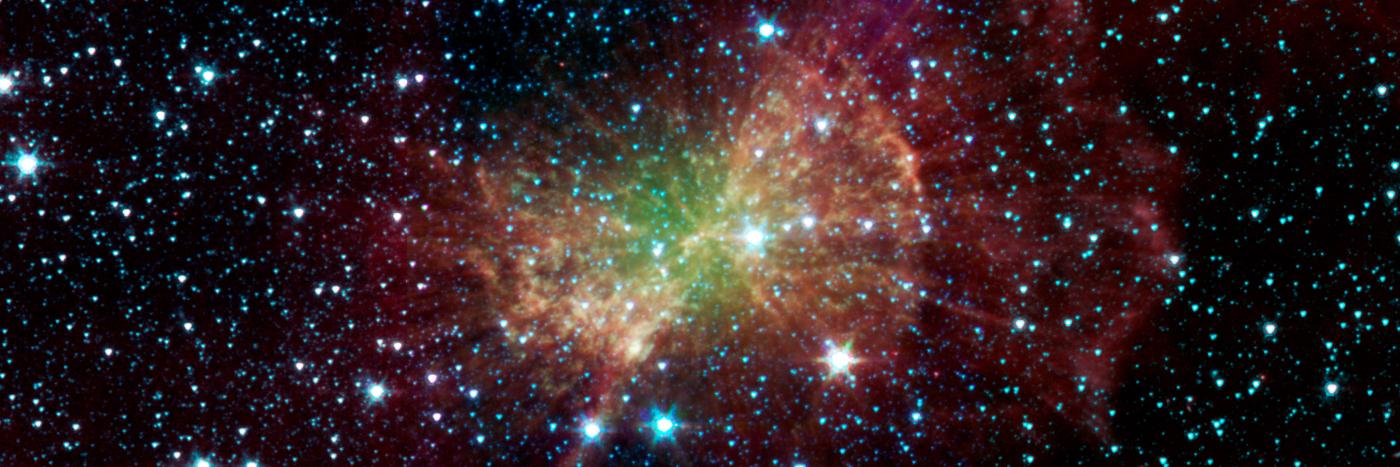 Anne Williamson banner