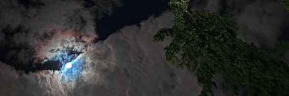 xfarh's profile banner image