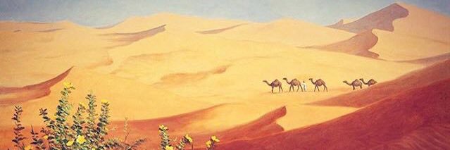 Stories_Arabs's profile banner image
