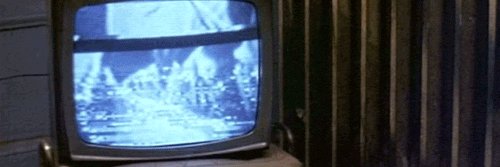 foolishwatcher banner