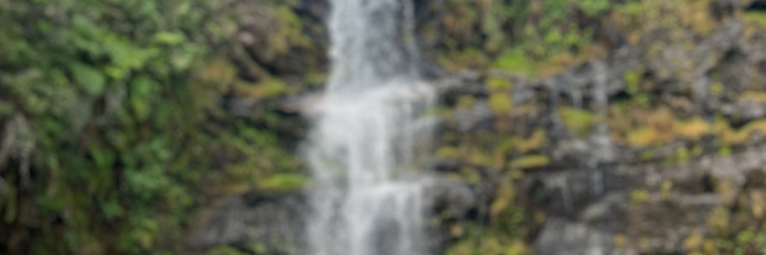 Le4ndrosm's profile banner image