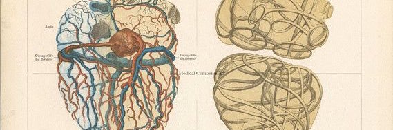 Guillermo Fernández banner