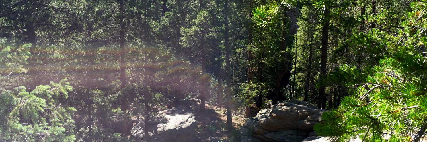 Kenzbrew's profile banner image