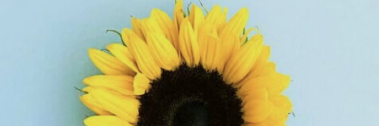 Winelbita's profile banner image