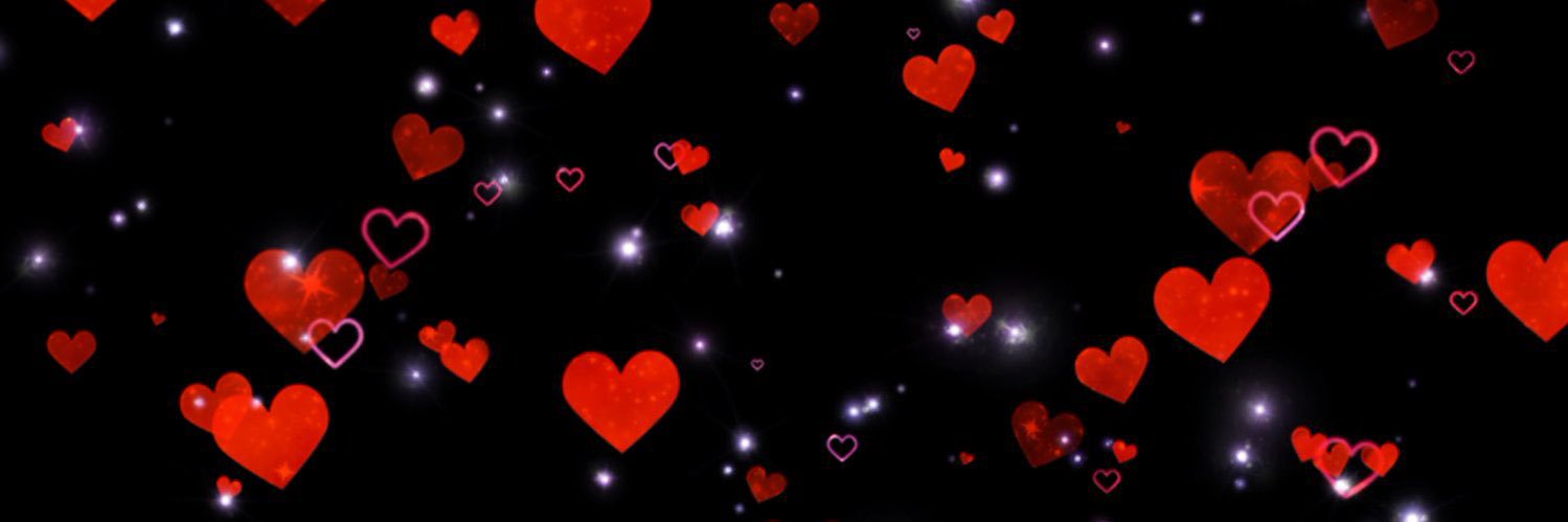 🗡️🖤🏳️‍🌈RegalChaos🏳️‍🌈 🖤🗡️Fan Account banner