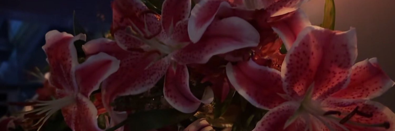 yogirlapes's profile banner image