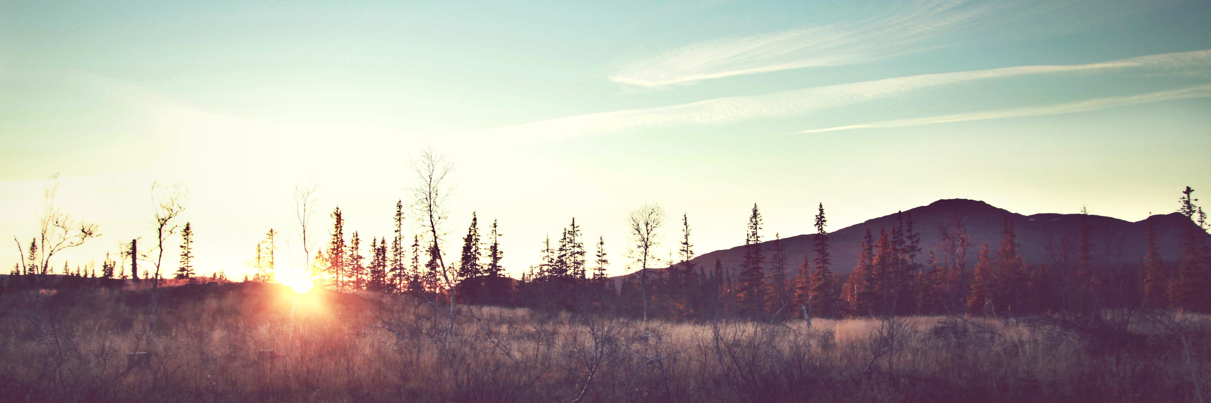 mergennerve's profile banner image