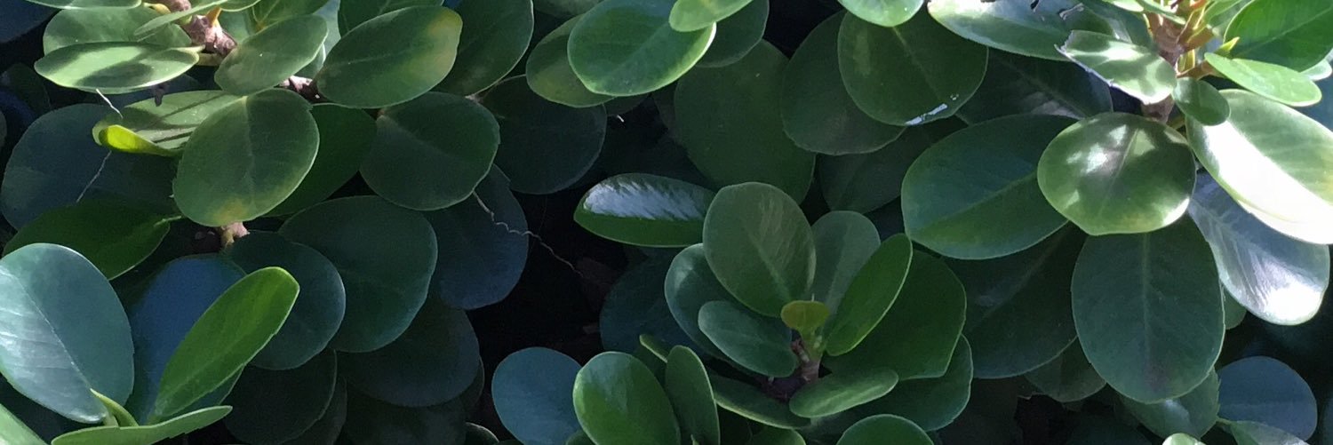 haridhakal's profile banner image