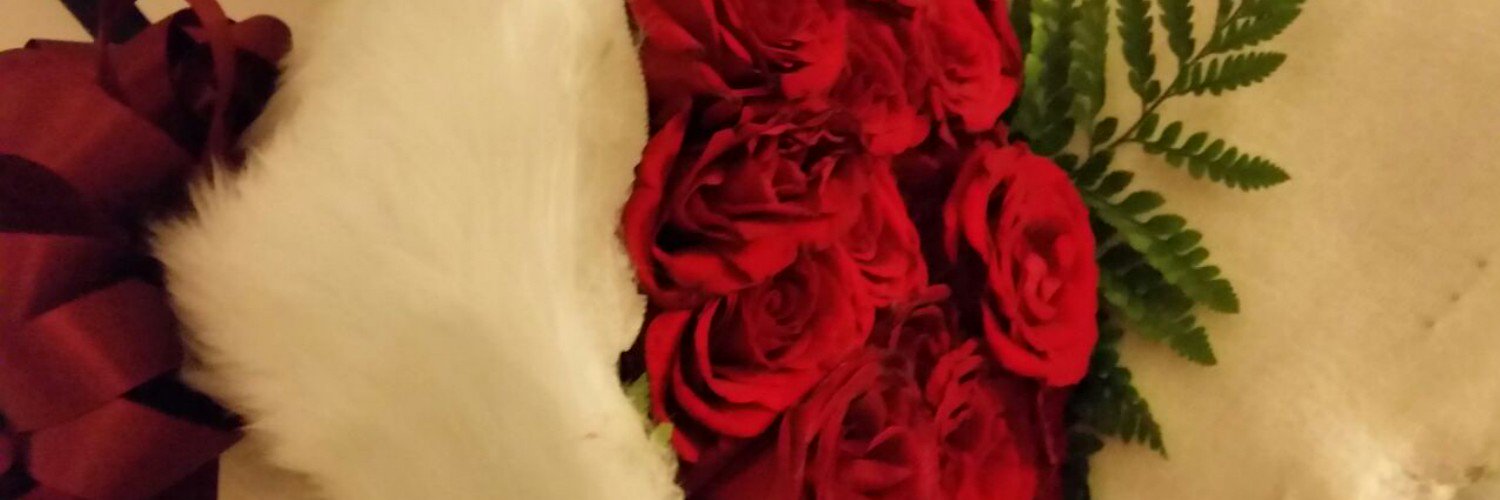 ابوسلطان banner
