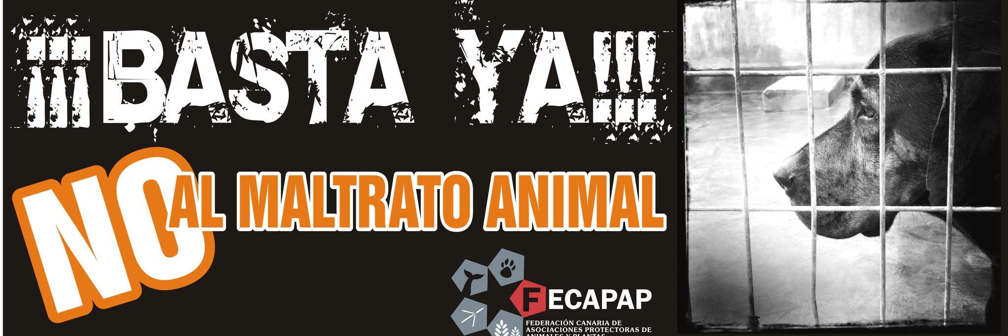 Fecapap1's profile banner image